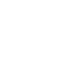 Rikoh